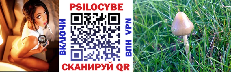 Псилоцибиновые грибы мухоморы  Юхнов 